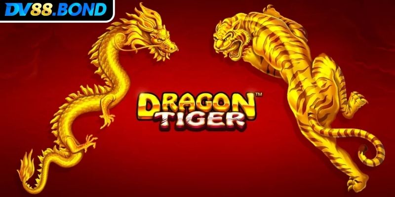 Khám phá trò chơi rồng hổ DV88
